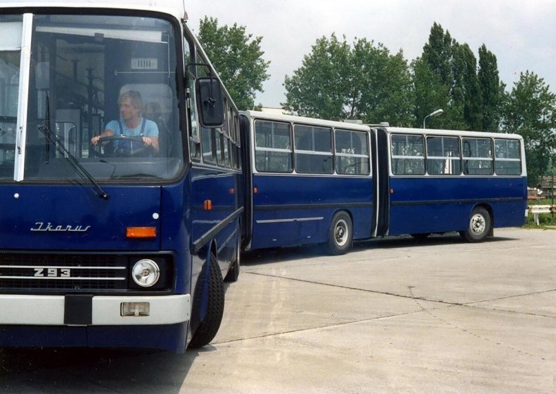 Икарус гармошка 293