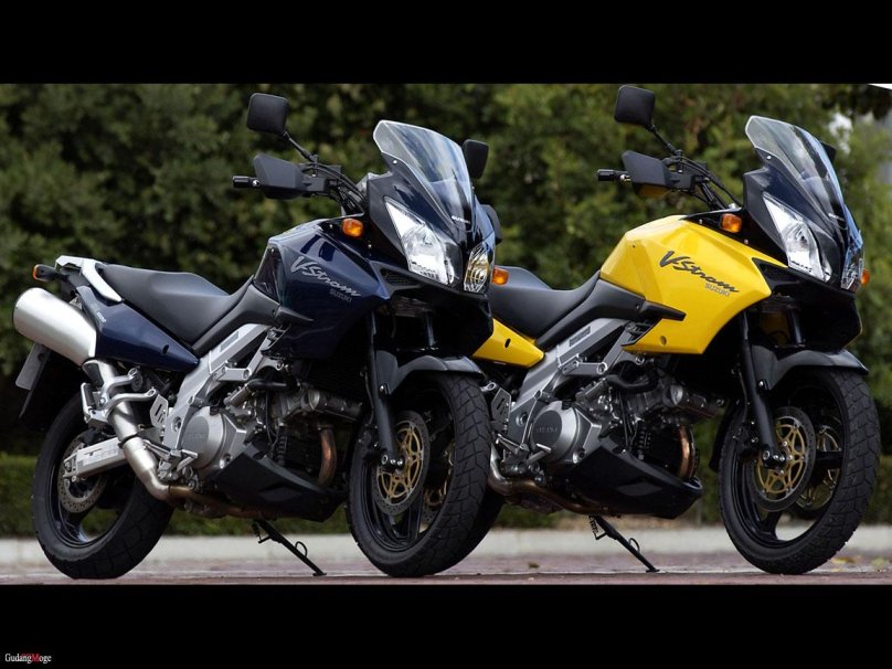 Suzuki v Storm 1000
