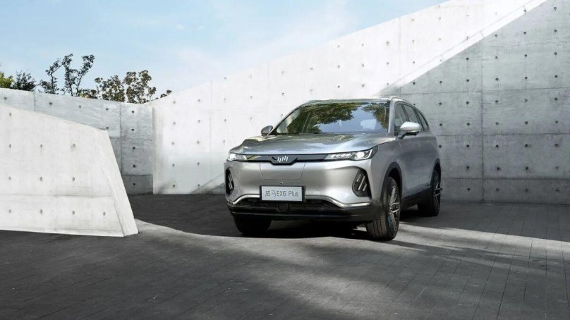 Weltmeister w6 серая