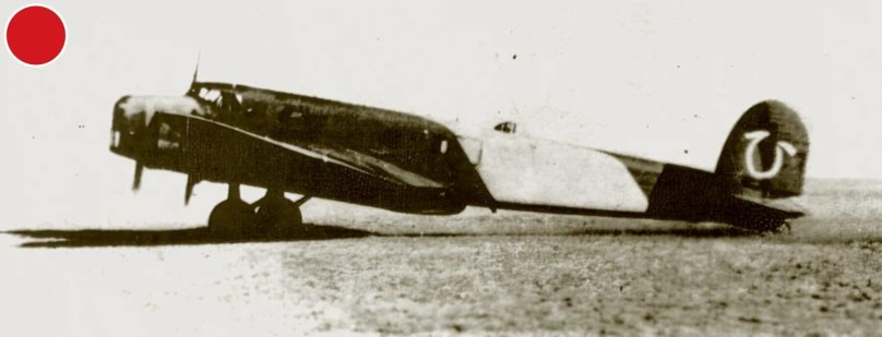 Средний бомбардировщик Фиат br.20 "Чиконья"