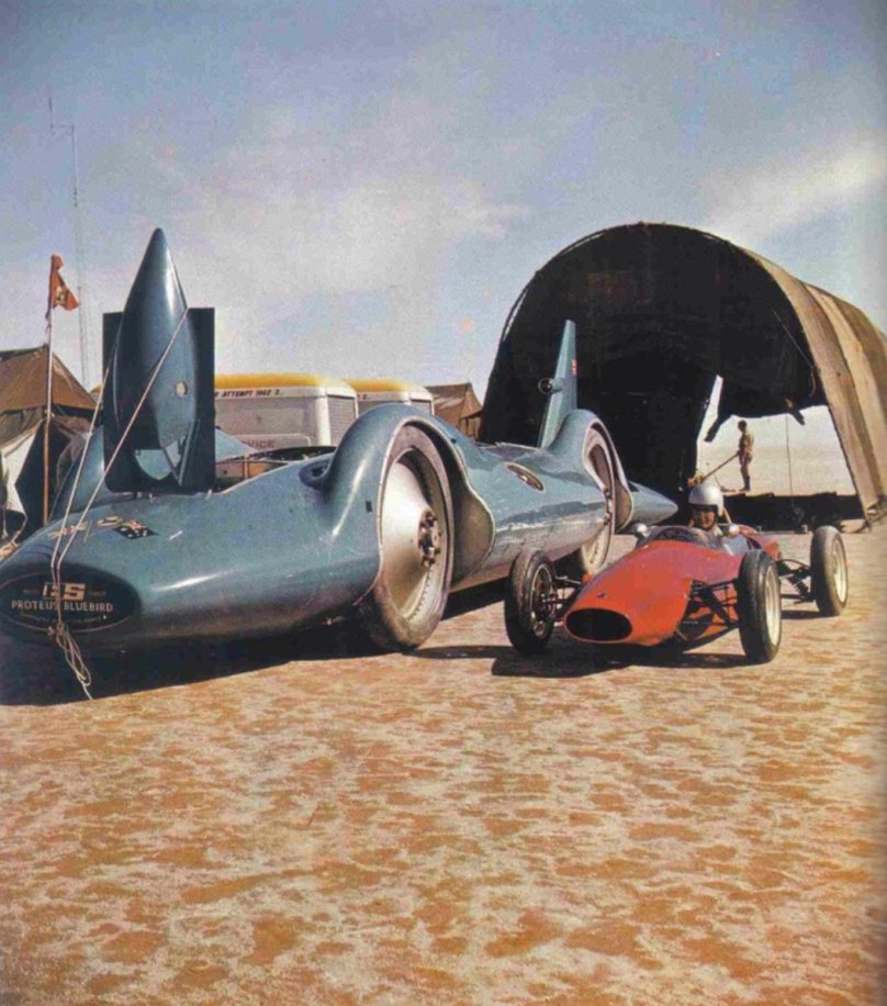 Bluebird-Proteus cn7