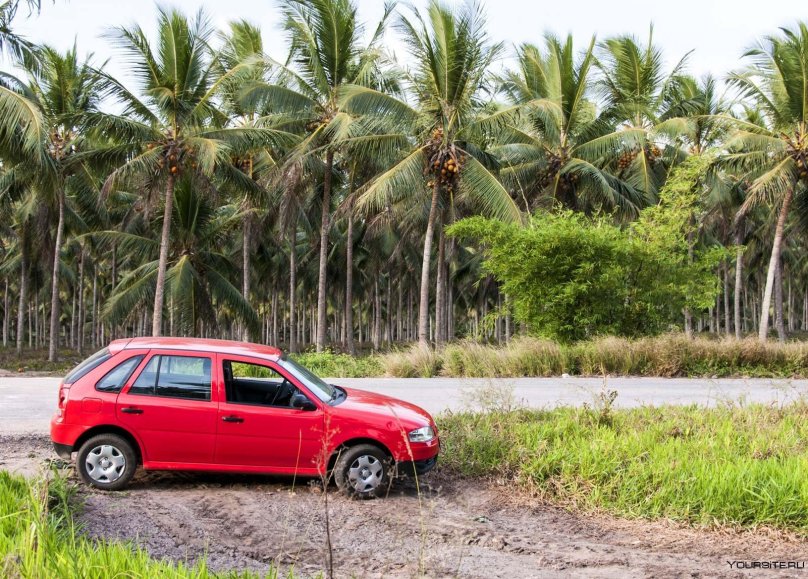 Машины в Бразилии