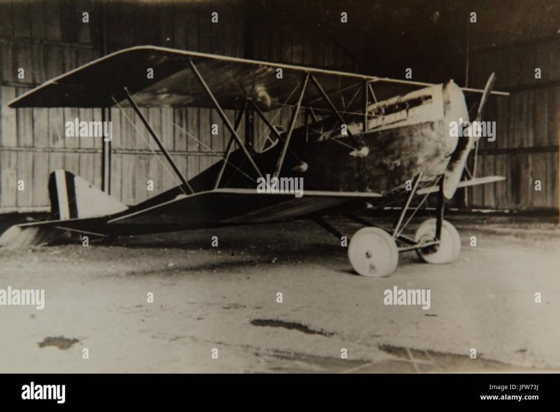 Самолет Ансальдо а 300