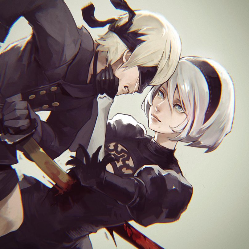 NIER 2b and 9s