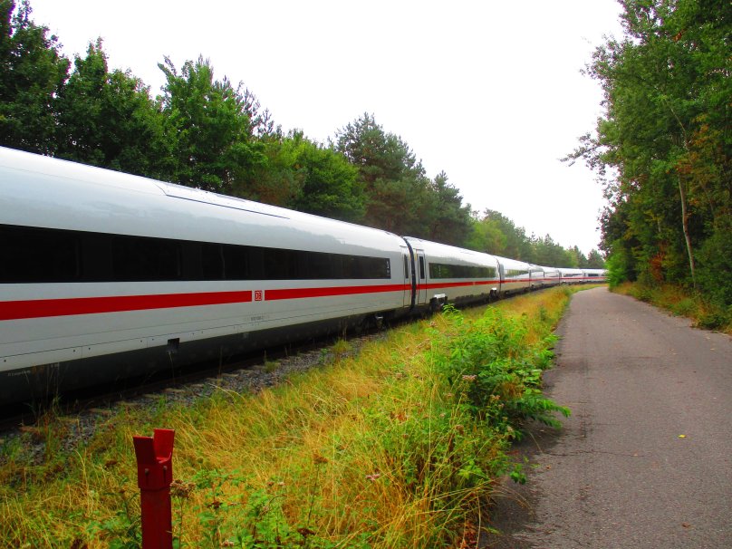 Поезд Стриж РЖД