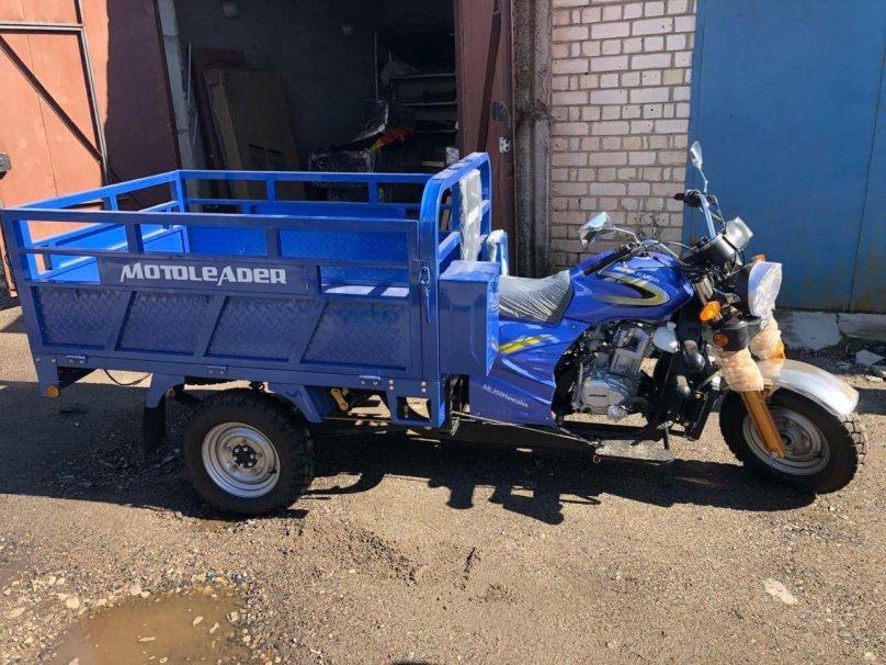 Муравей Геркулес трицикл