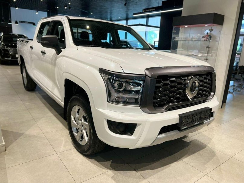 Great Wall Poer King Kong 2022-2024