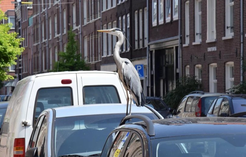 Машина цапля