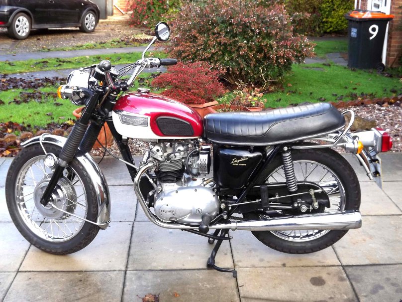 Tiger Triumph t100