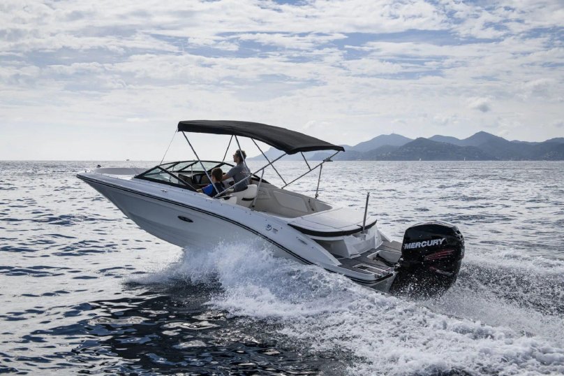 Sea ray 200