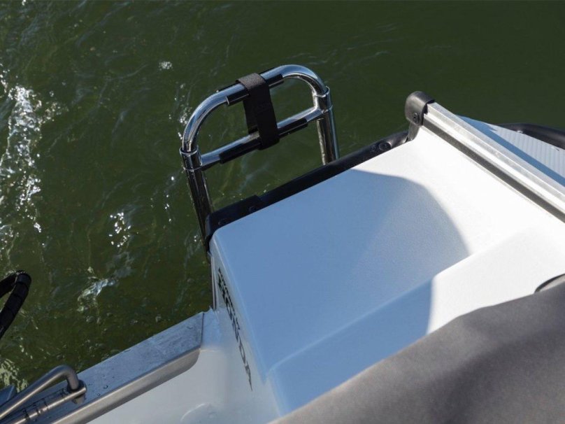 Сильвер Бивер 450