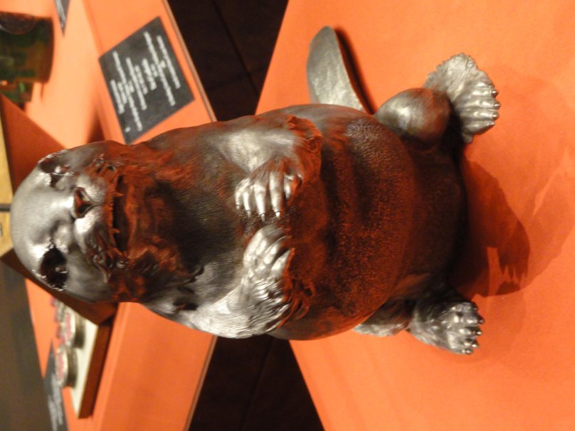 Грфин бобер Фаберже