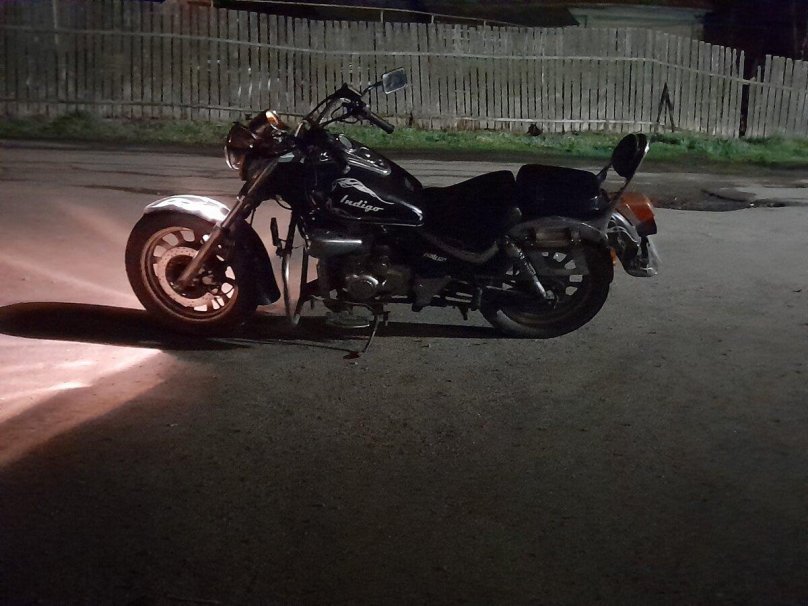 Патрон индиго бобер