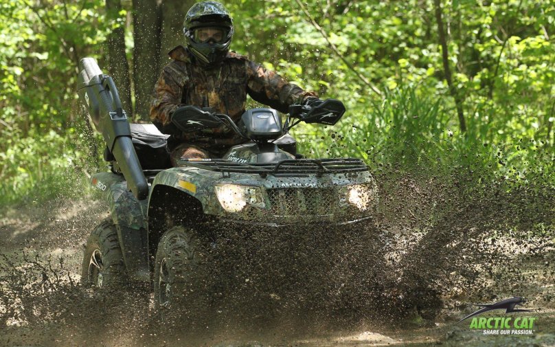 Квадроцикл Arctic Cat 500