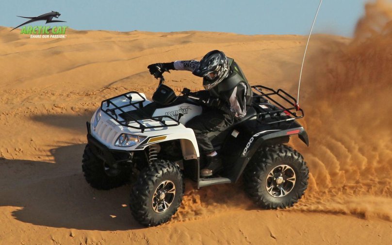 Arctic Cat 1000