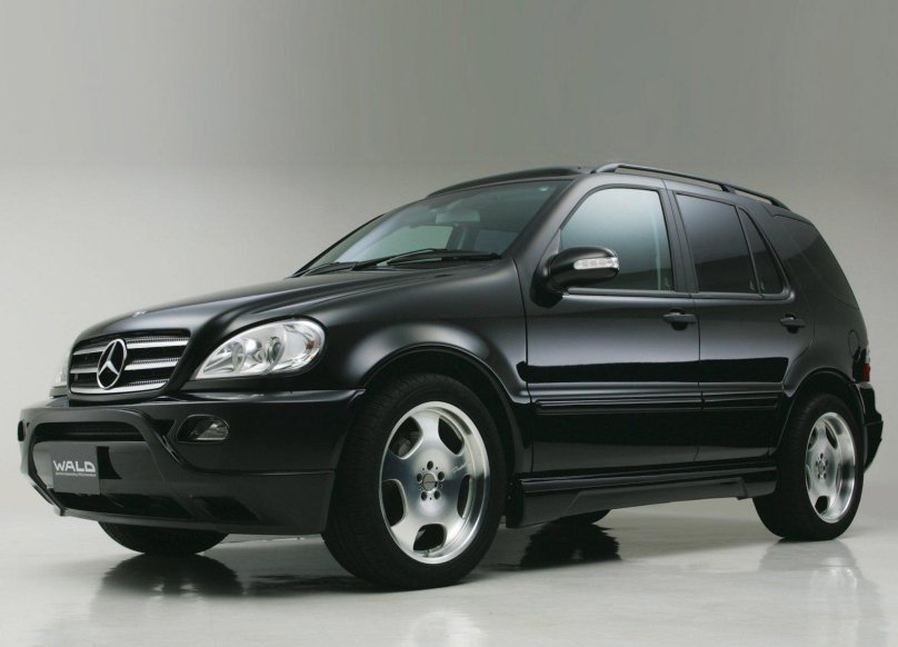 Mercedes ml w163 Wald