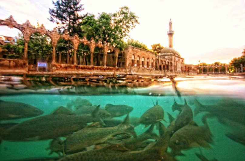 Урфа Турция