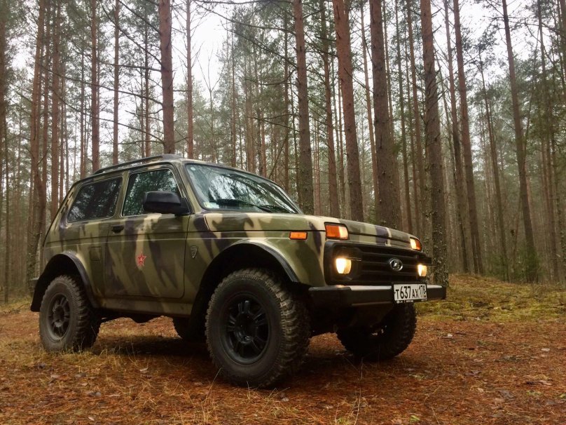 Нива Бронто кориандр