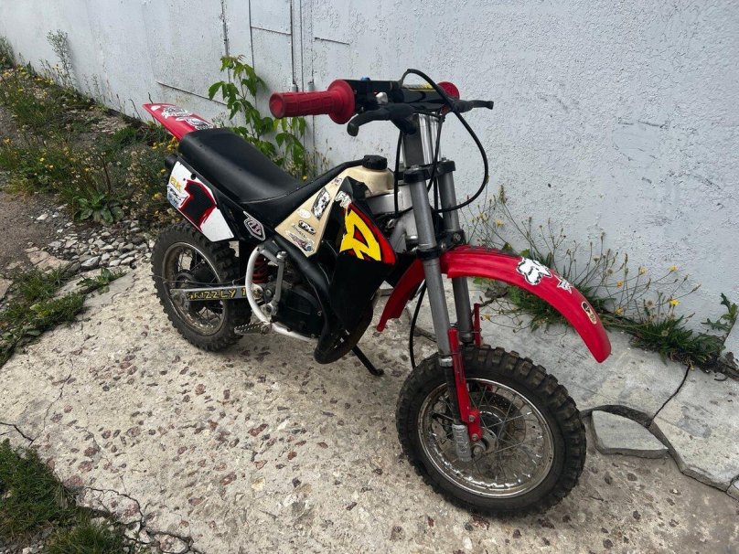 Малагути Гризли