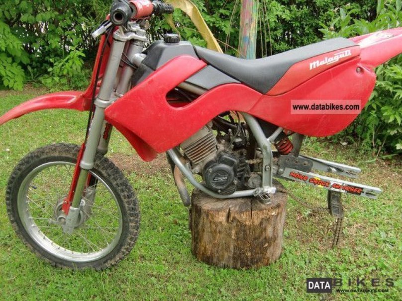 Малагути Гризли 12