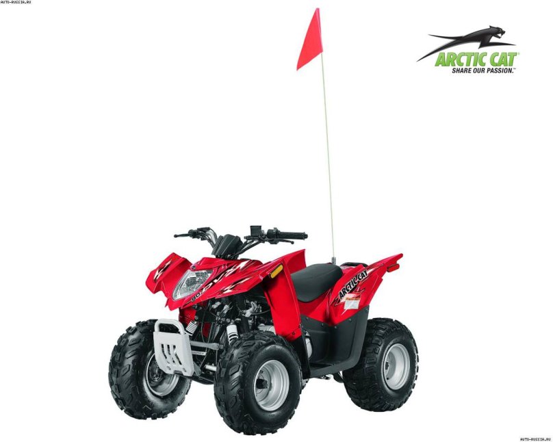 Arctic Cat 90