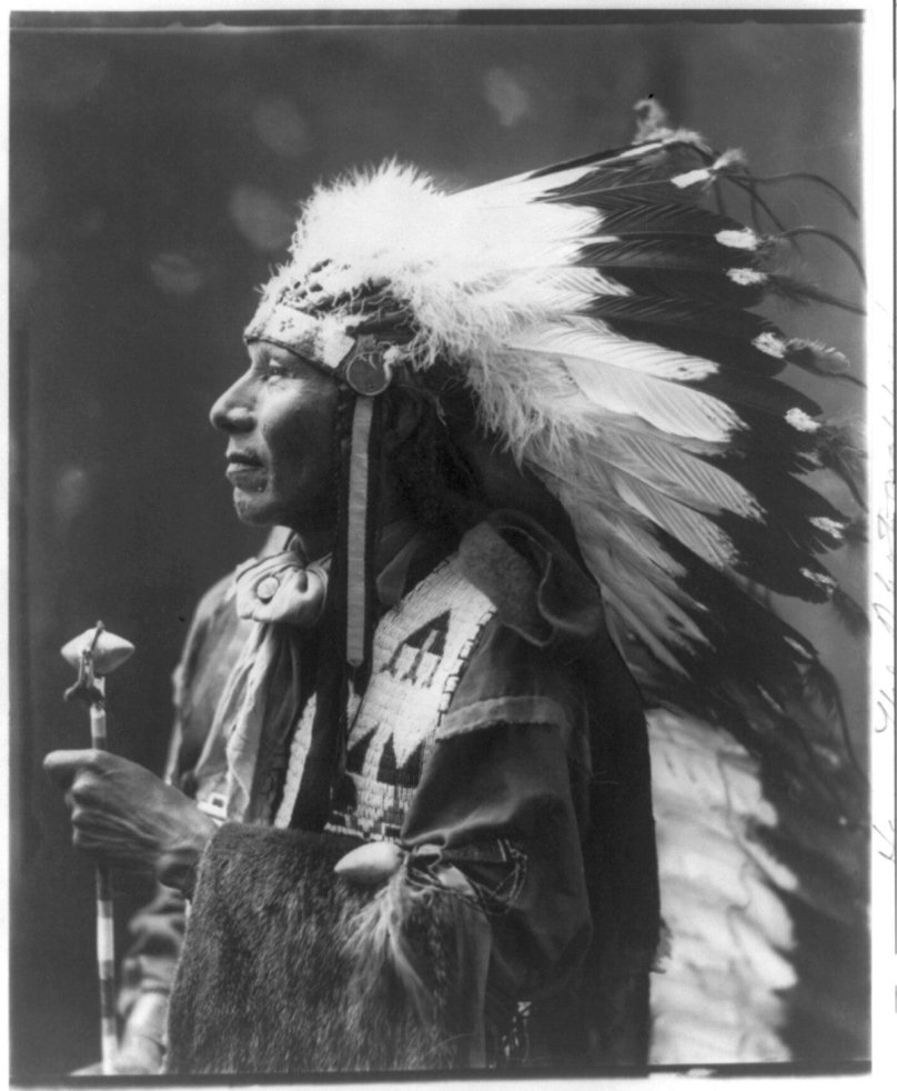 Чероки птица