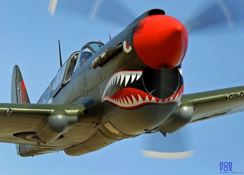 P-40 Kittyhawk