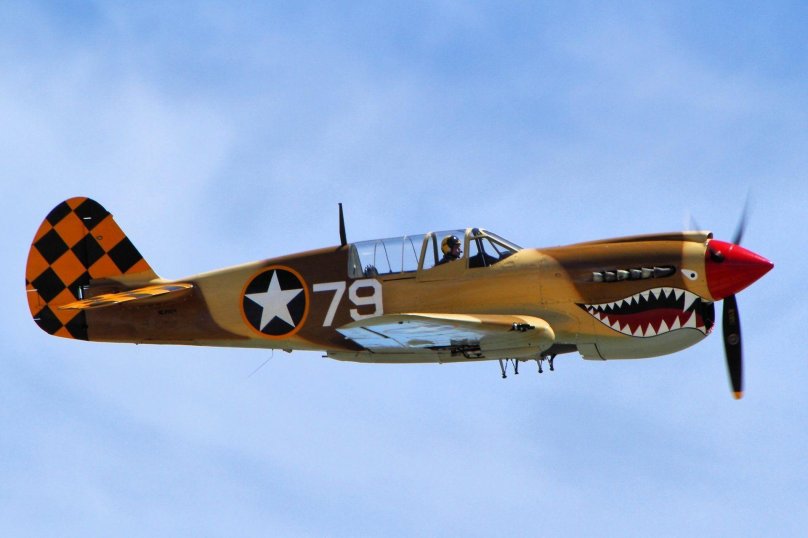 Кертисс p-40 «уорхок»