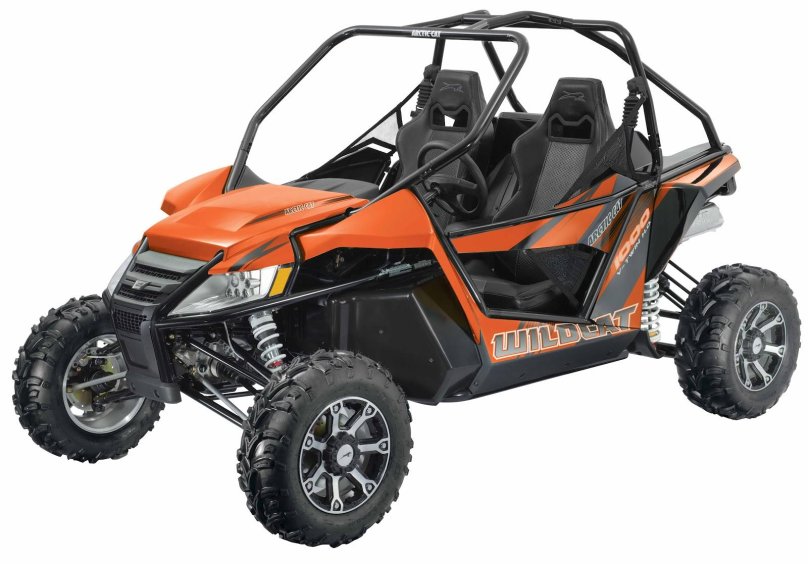 Arctic Cat 1000