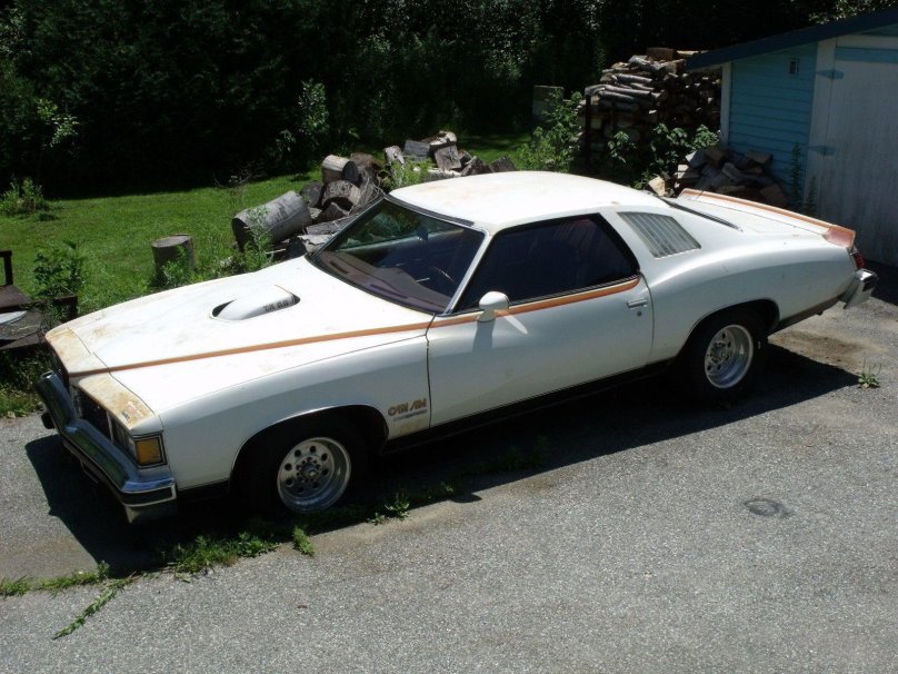 1977 Pontiac Lemans can am