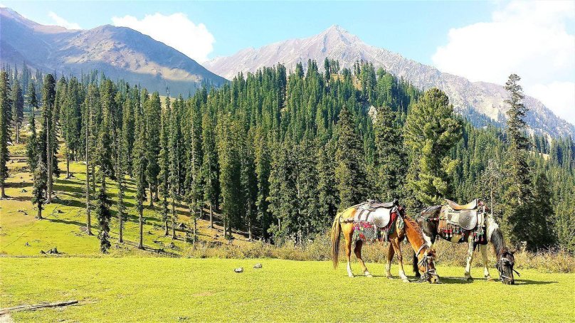 Наран Пакистан