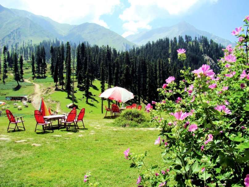 Сказочный луг Пакистан