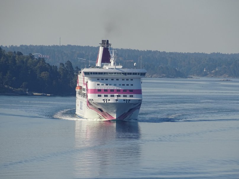 Силья эсмор Даннеманн