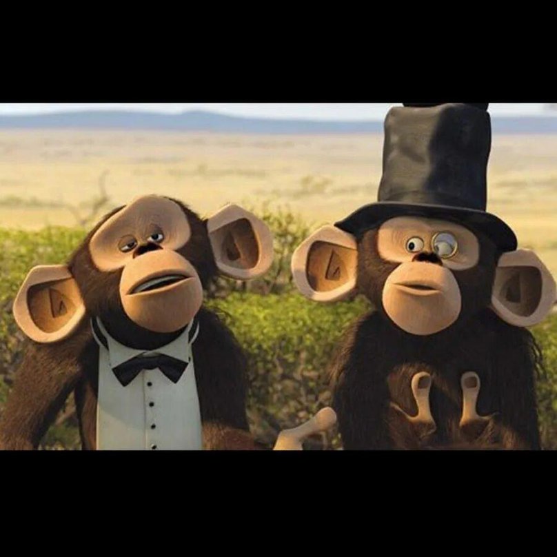 Мейсон и Фил Мадагаскар