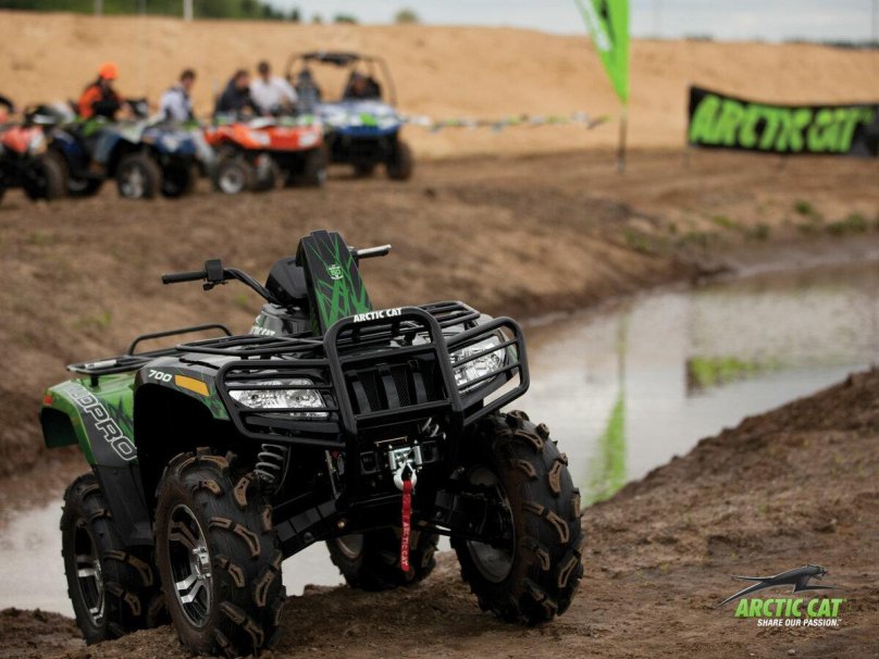 Arctic Cat 700