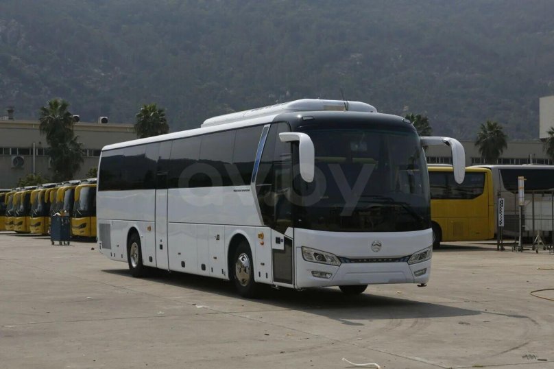 Голден драгон 6122