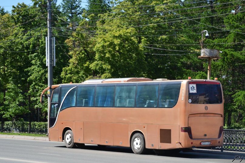 Голден драгон 6129