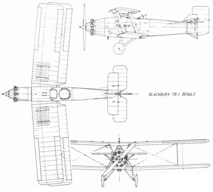 Blackburn Beverley чертежи