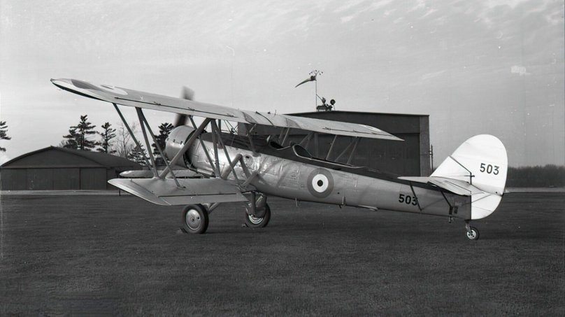 Блэкберн Шарк