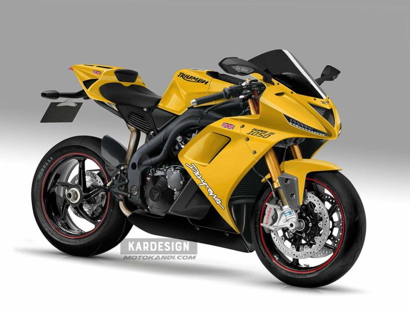 Triumph Daytona 675 байкер