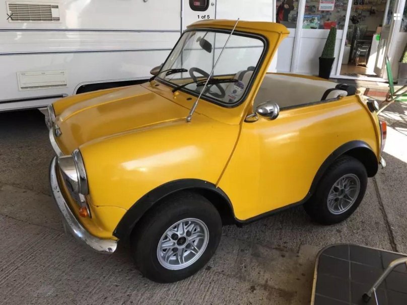 Mini 1983