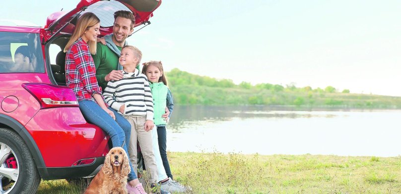 Семья путешествует на машине