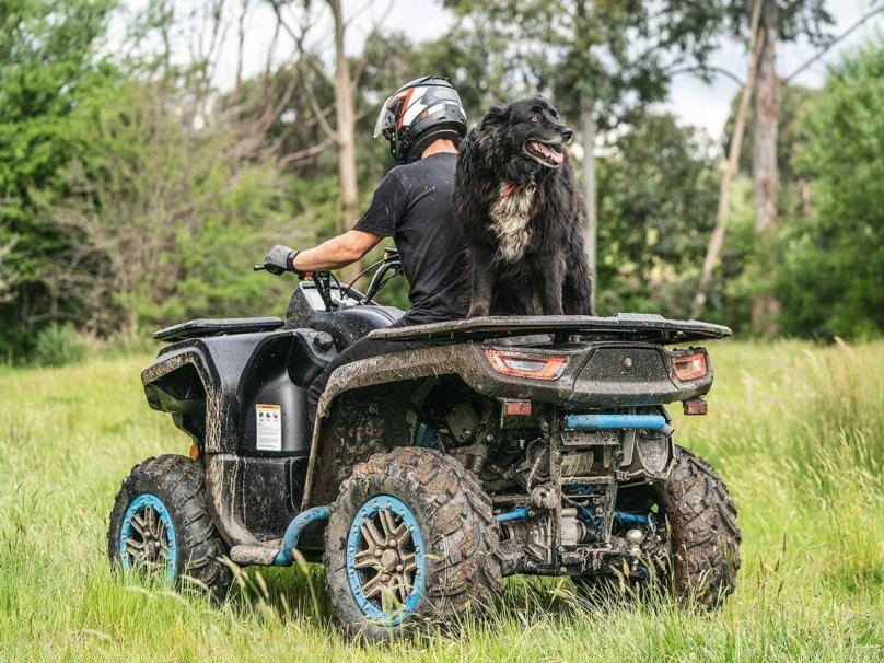 Квадроцикл Segway Snarler