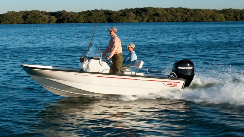 Boston Whaler 350