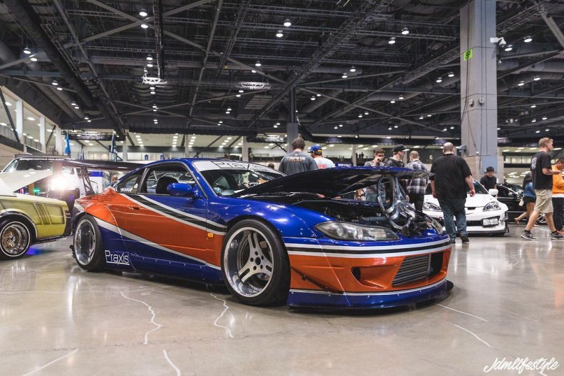 Мона Лиза Сильвия с15