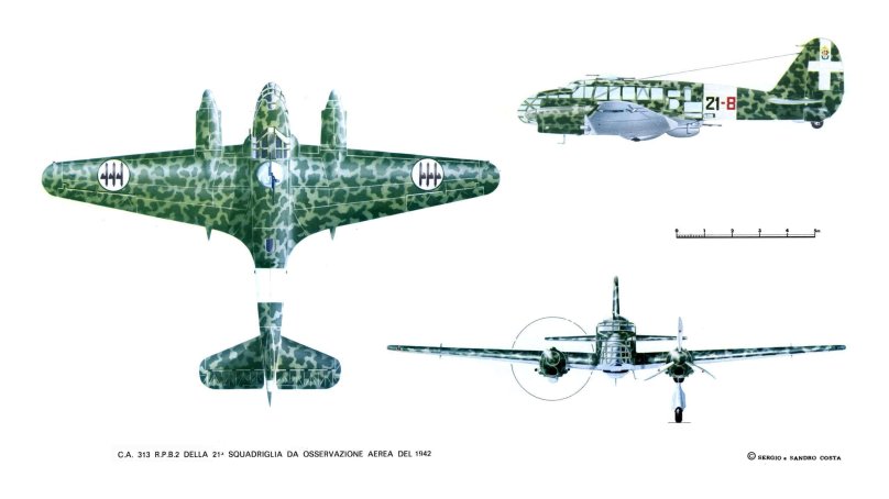 Капрони са 313