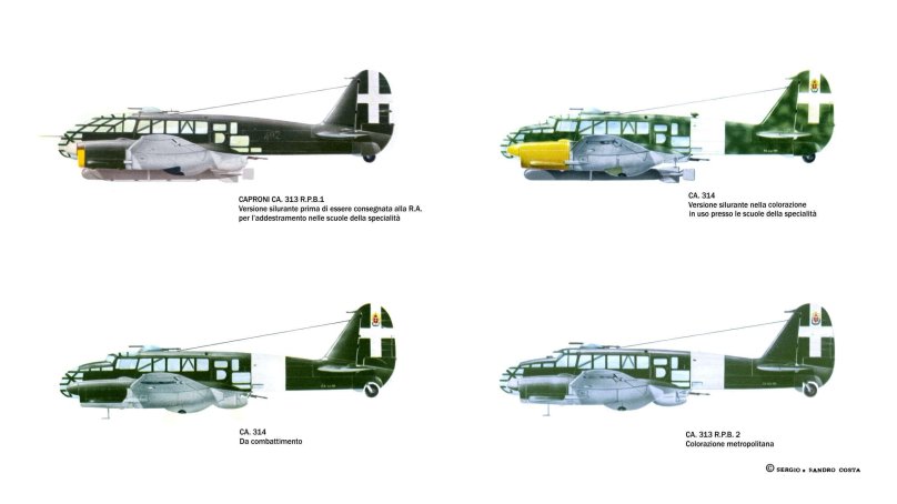 Самолёт Caproni CA.313