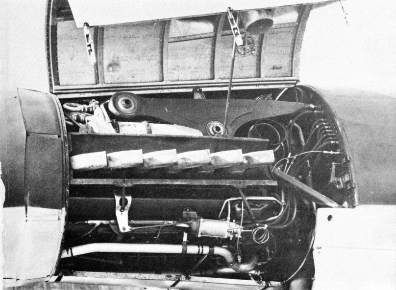 Дорнье 335 самолет