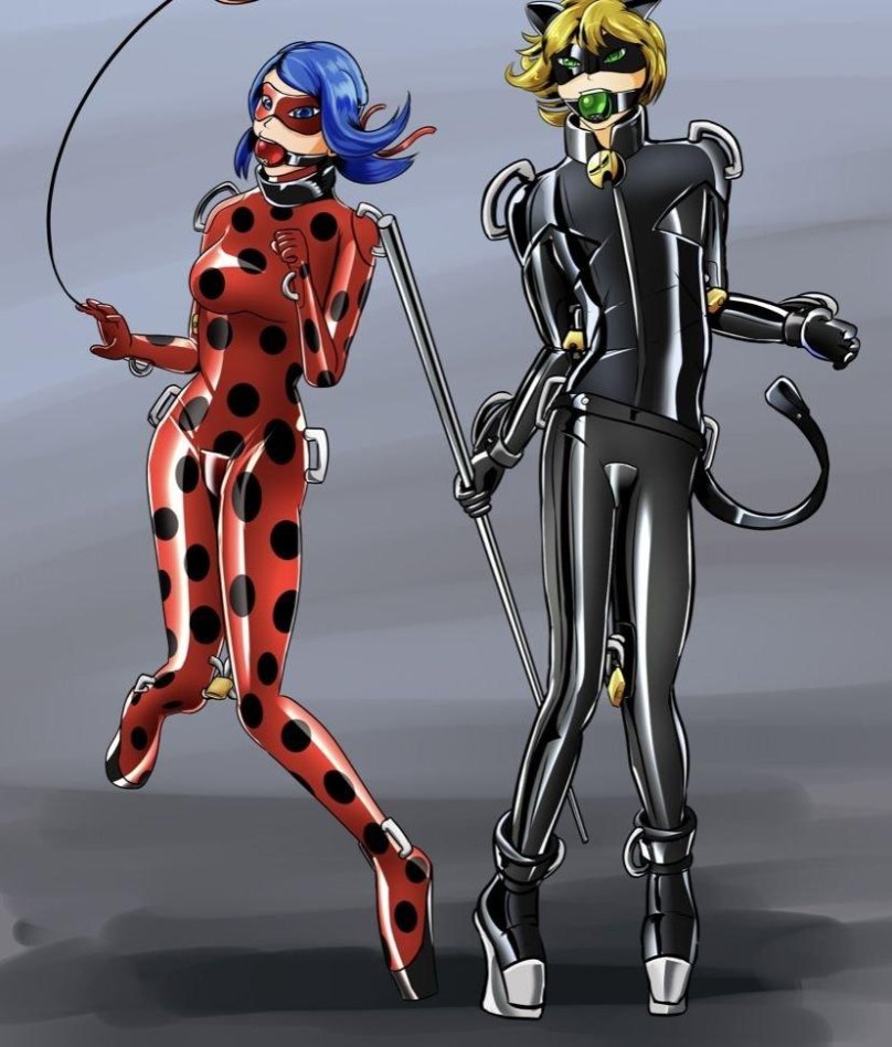 Леди баг и супер кот тигрица