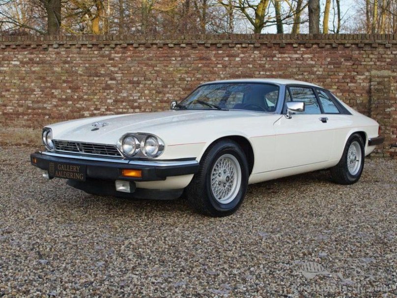 Jaguar XJS v12